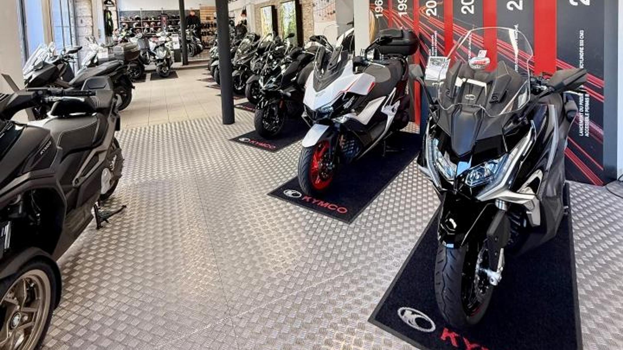 Foto 1 di Evolution 2 Roues