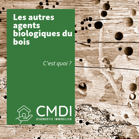 Les autres agents biologiques du bois